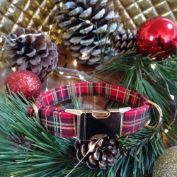 Collier pour chien