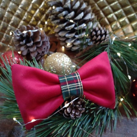 Nœud Papillon Noël