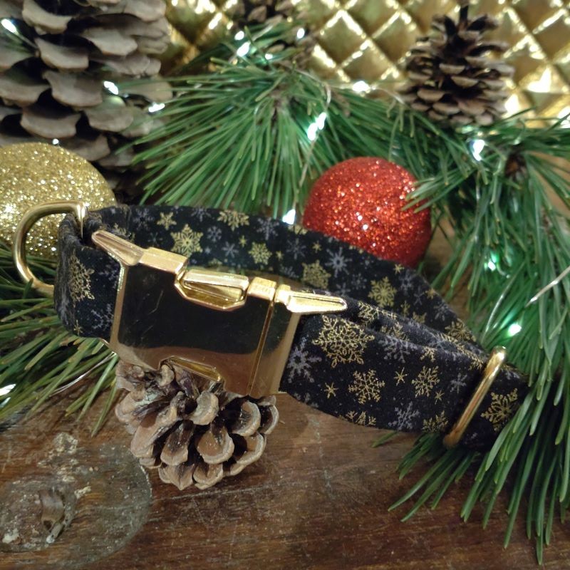 Collier pour chien