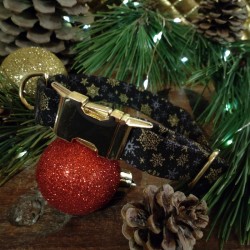 Collier pour chien