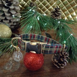 Collier pour chien