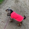 Aboyons sous la pluie