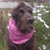 Snoods Ecossais Rose