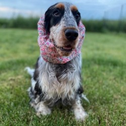 Snood Liberty Wiltshire Pois Senteur