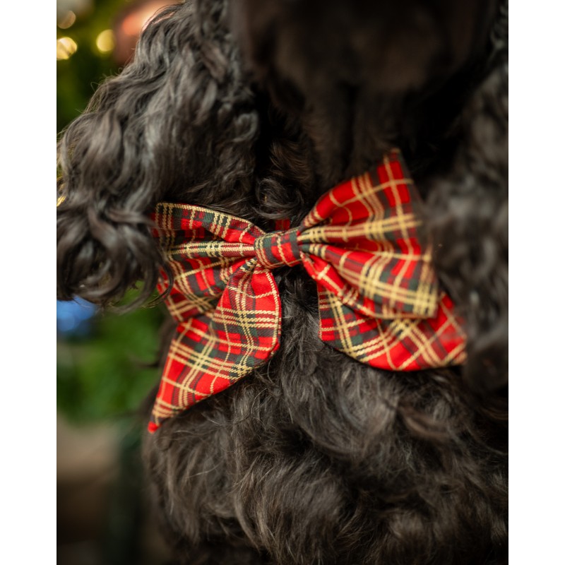 Ensemble Barrette et Noeud Tartan Noel