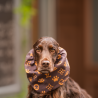 Snood Joséphine Imperméable