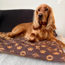 Carpet Josephine