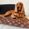 Carpet Josephine