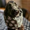 Snood Archibald Imperméable