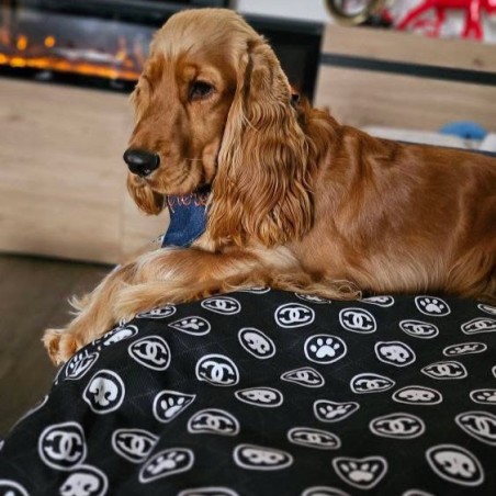 Tapis Archibald