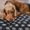 Tapis Archibald