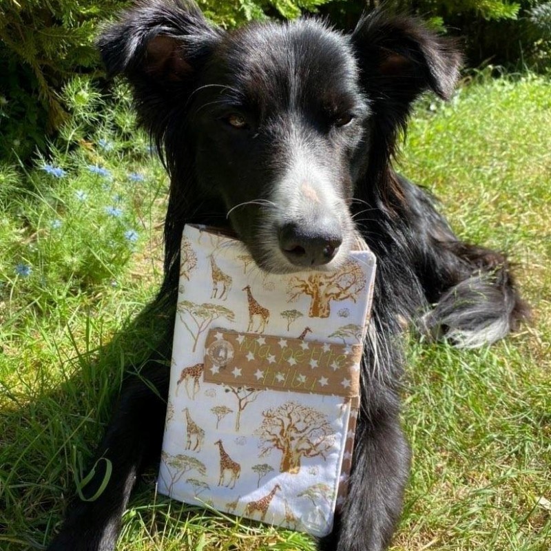 Protection Carnet de santé