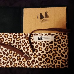 Protection Carnet de santé