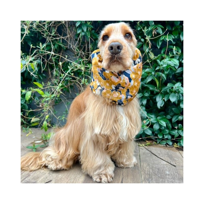 Snood Coton d'Or