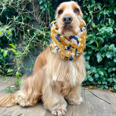 Snood Coton d'Or