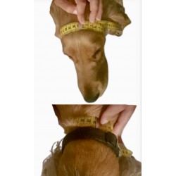 Snood Ciré Felyna