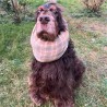 Snood Gaze Ecossais Vert & Ocre