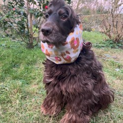 Snood Gaze Léopard Rose & Caramel
