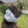 Snood Zèbre bleu