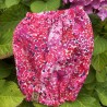 Snood Fleurs Fuschia *