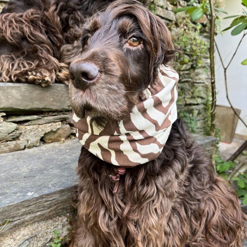 Snood Zèbre marron *