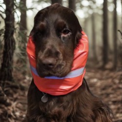Snood chasse