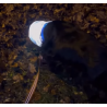Snood imper réfléchissant