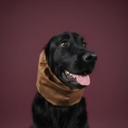Snood Ciré Noisette