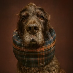 Snood Highlander