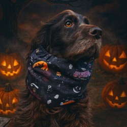 Snood This is Halloween