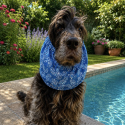 copy of Snood Pâquerettes