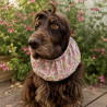 Snood Liberty Betsy Rose