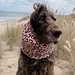 copy of Snood Pâquerettes