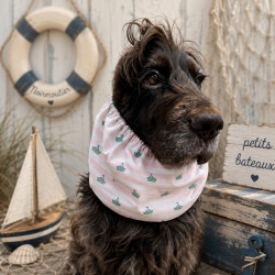 Snood coton pour chien - marinière rose