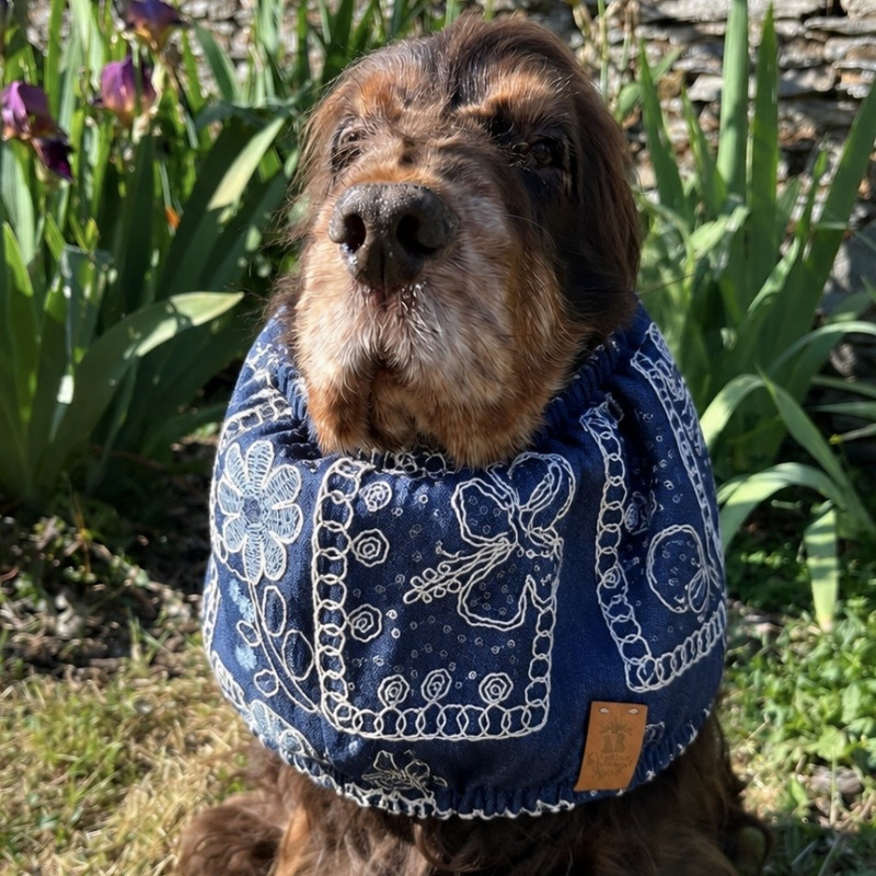 Snood coton pour chien - hibiscus Jean