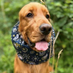 Snood Paisley Étincelles