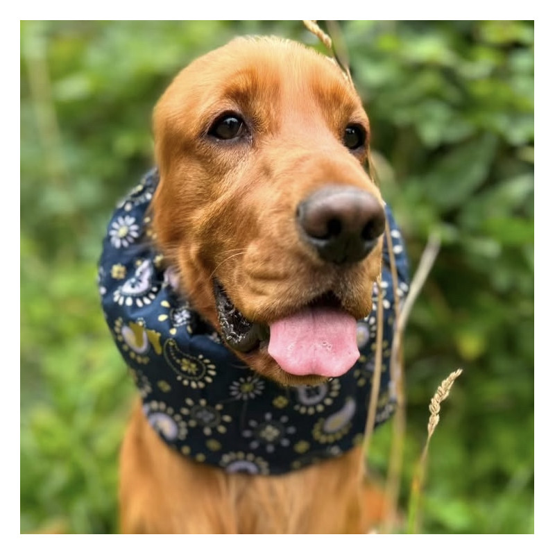 Snood Paisley Étincelles