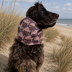Snood Havana
