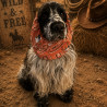 Snood Wild and Free Orange