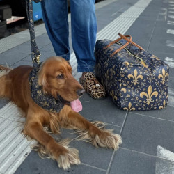 Sac de voyage Jenny