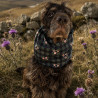 Snood Balmoral
