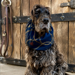 Snood Gatsby