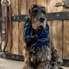 Snood Gatsby