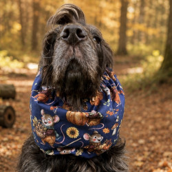 Snood Pimprenelle