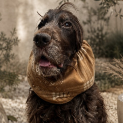 Snood Tisbury
