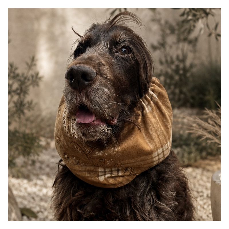 Snood Tisbury