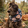Snood Valse des citrouilles