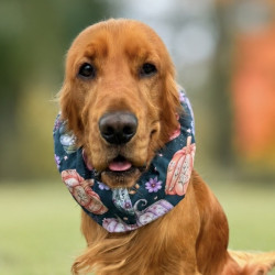 Snood Valse des citrouilles