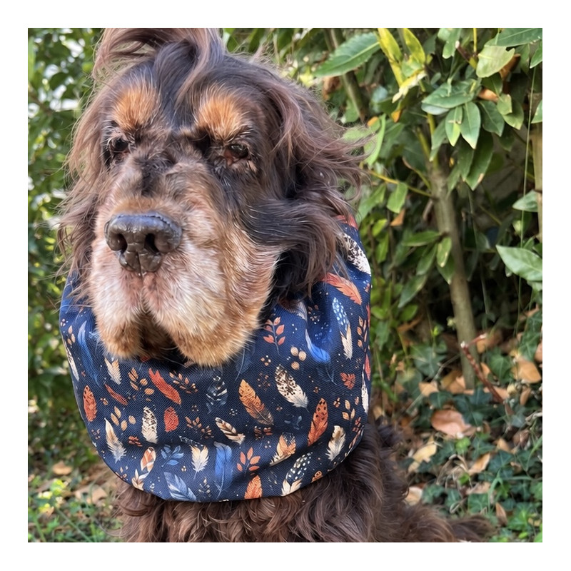 Snood Plumes d’automne bleu coton