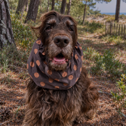 Snood Pois Chocolat